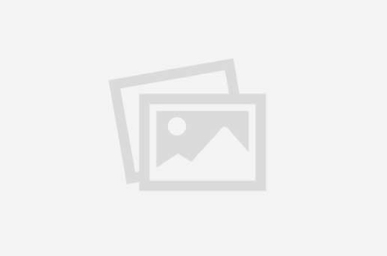 image-placeholder